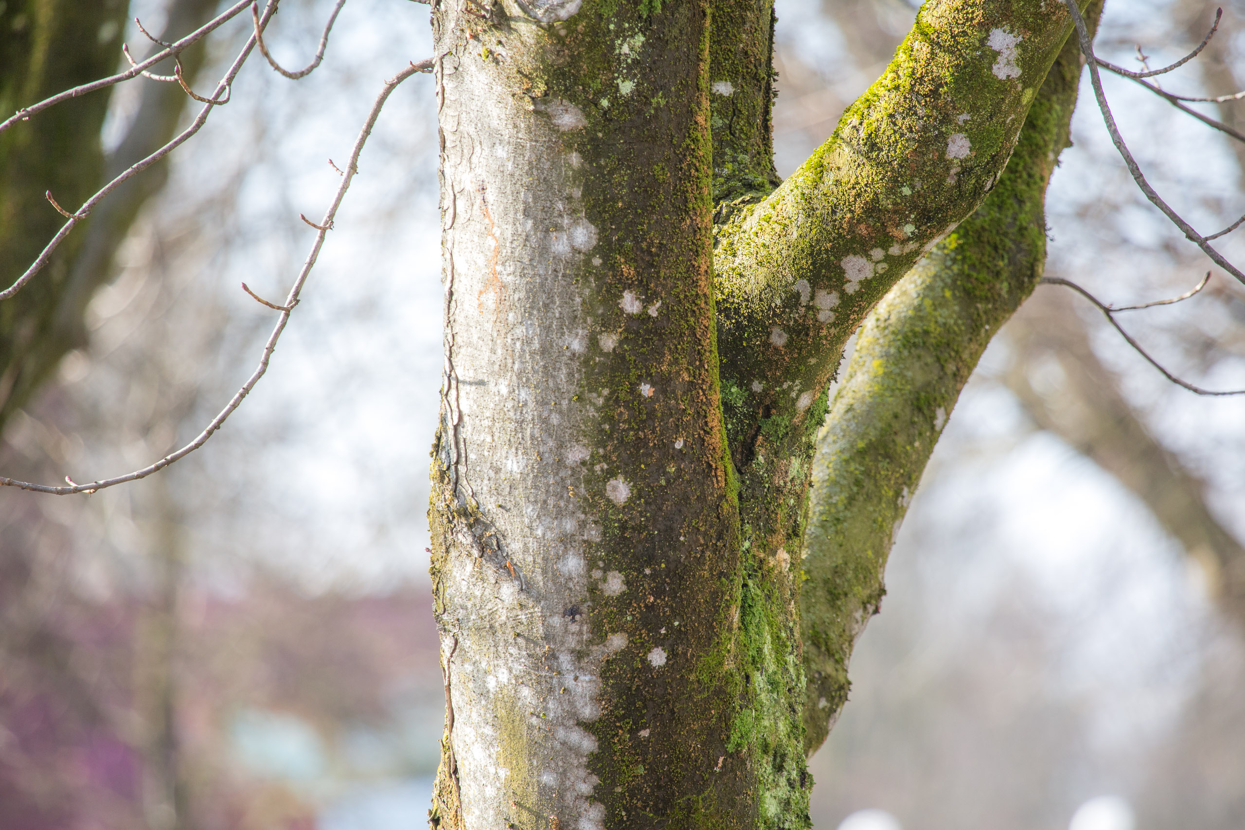 20150228151349 RD 85351